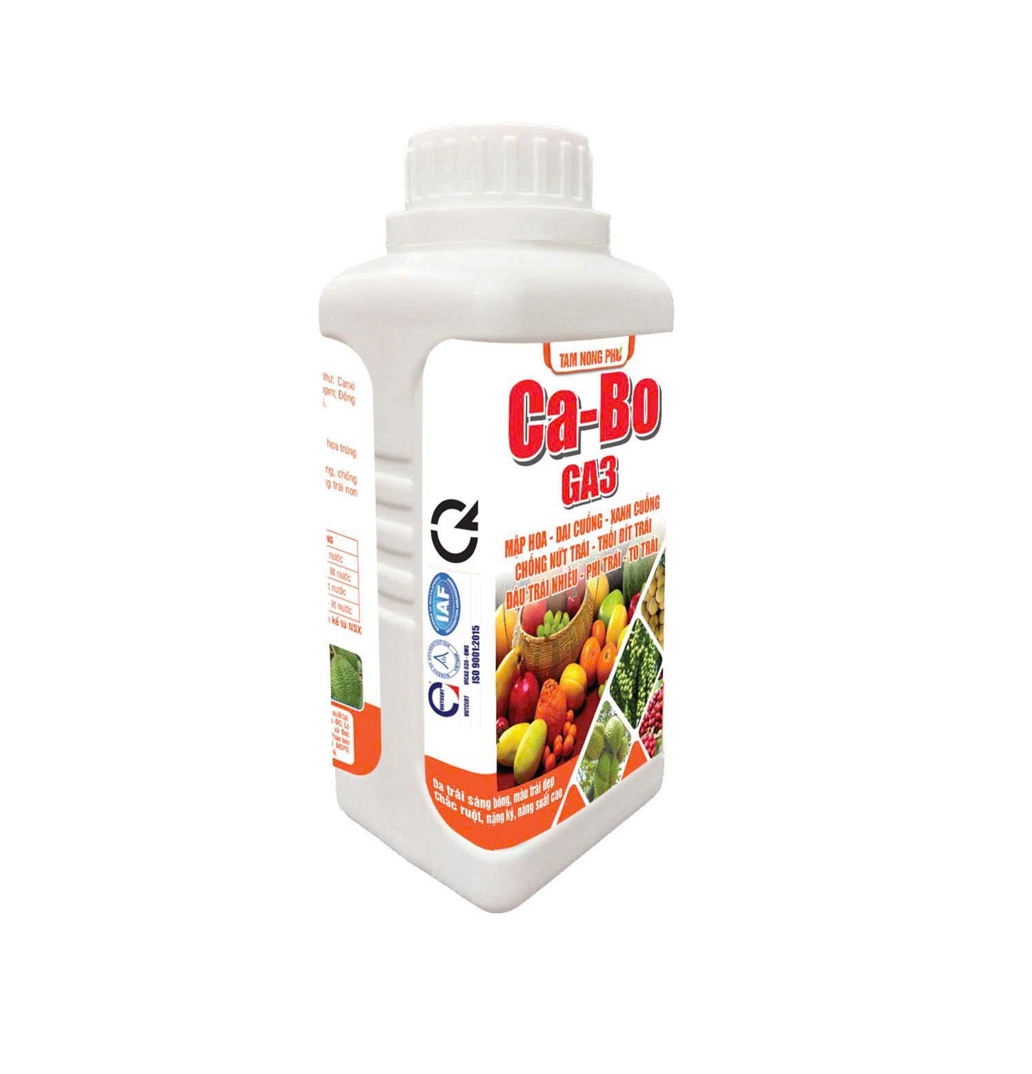 CA-BO GA3